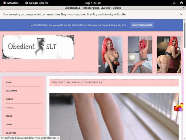 0bedientSLT Full Site