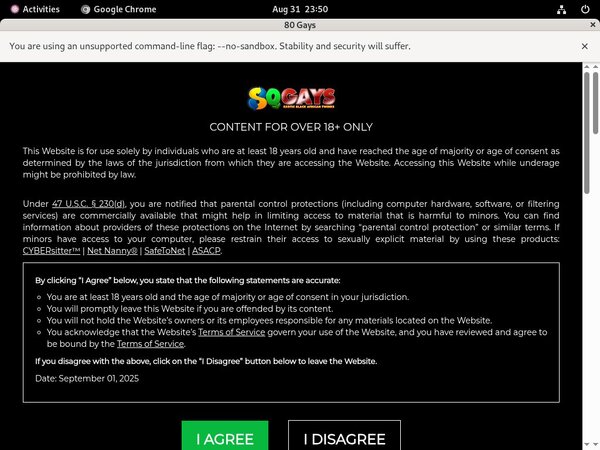 80gays.com Porn Clips