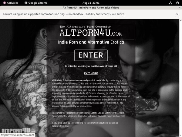 Alt Porn 4 U Account Information Alt Porn 4 U Account Information