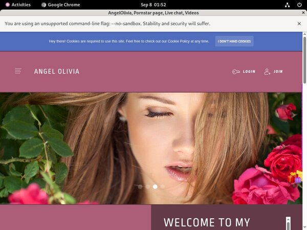 Angelolivia.modelcentro.com Valid Account