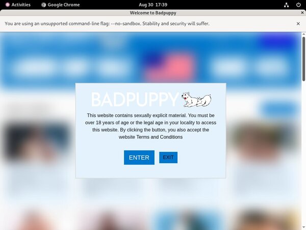 Badpuppy.com Latest Passwords
