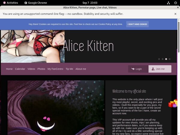 Best Alice Kitten