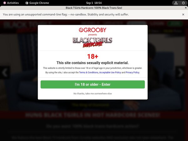 Black TGirls Hardcore Website Password