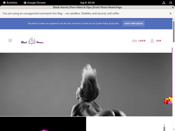 Black-hornis.net Account New