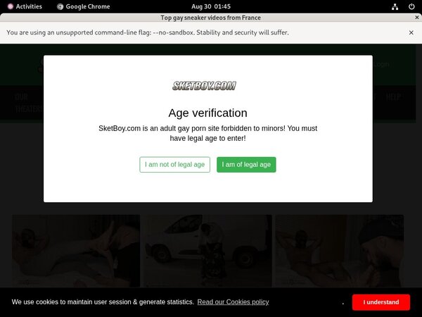 Boy Sket Free Login Boy Sket Free Login