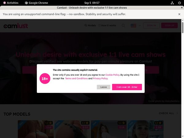 Cam Lust Paysite Passwords