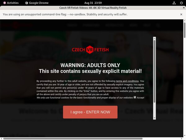 Czechvrfetish.com Discount Info