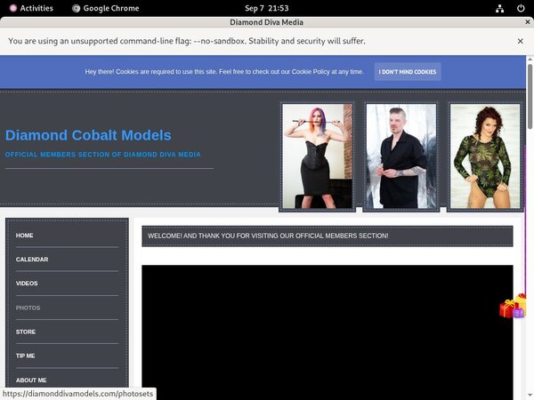 DiamondDivaMedia Gallery DiamondDivaMedia Gallery