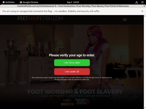 Feet And Fetish Password Details