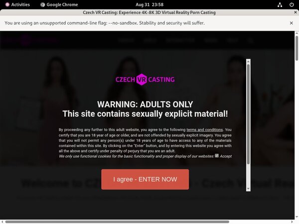 Free Czechvrcasting Account And Password