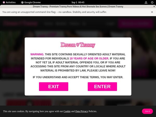 Free Dreamtranny Premium Account