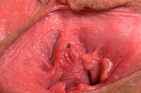 Gapemypussy.com Freeones s2 Gapemypussy.com Freeones s2