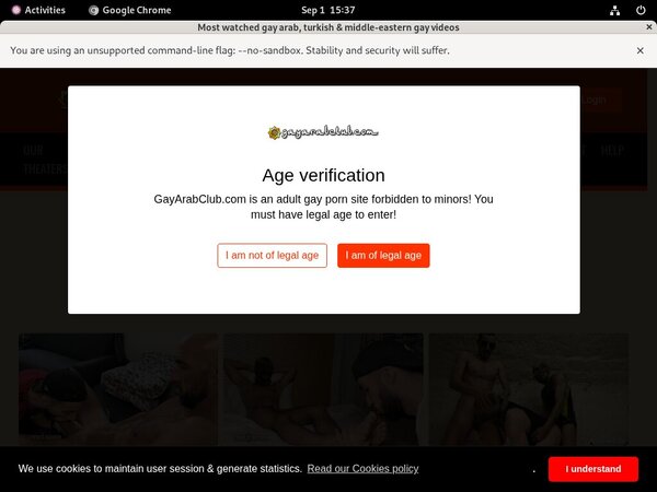 Gayarabclub Hd Porn Videos