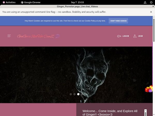 Ginger Discount Passes