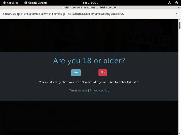 Girlsinsteel.com Gxplugin (IBAN/BIC) Girlsinsteel.com Gxplugin (IBAN/BIC)