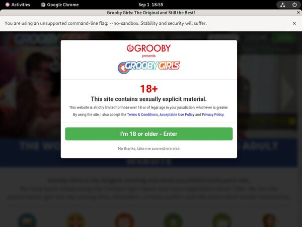 Groobygirls.com Website Password