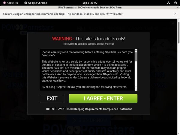 How To Get POV Pornstars Free