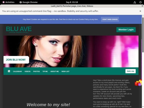 Ladiiblu13.modelcentro.com Discount (SAVE 63%)