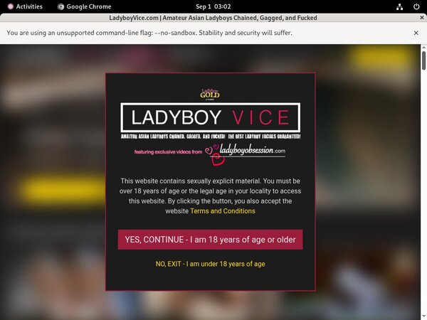 Ladyboy Vice Usernames