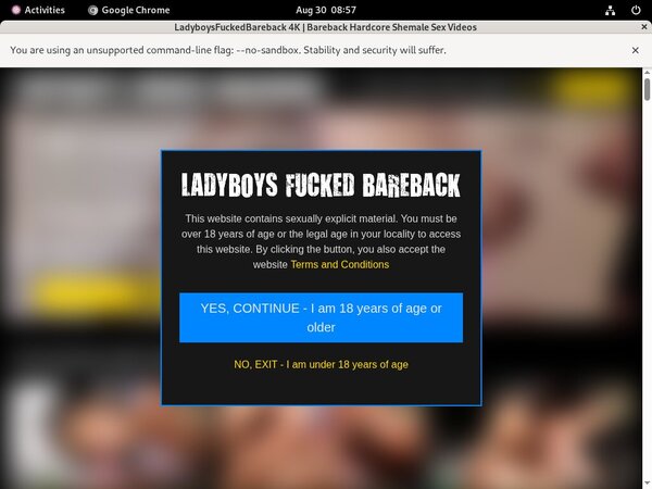 Ladyboys Fucked Bareback With EUDebit