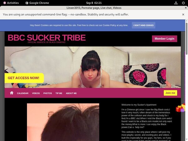 Linxer2013 With Paysafecard