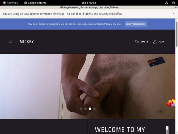 Mickeyelderstud Premium Password