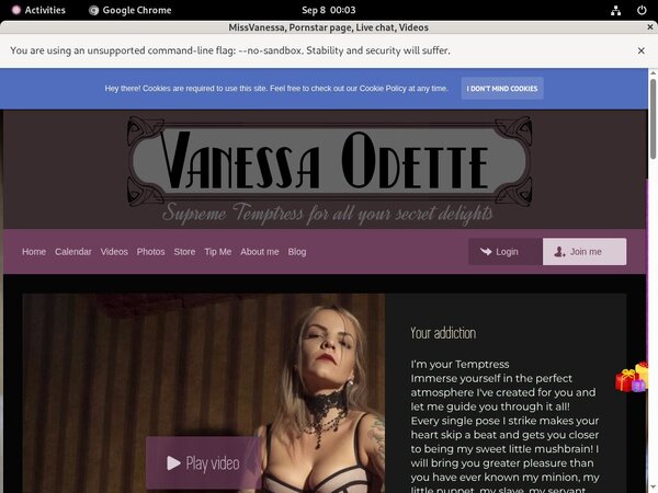 Missvanessa.modelcentro.com With WTS (achdebit.com)