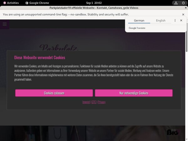Parkplatzluder19 Site Passwords