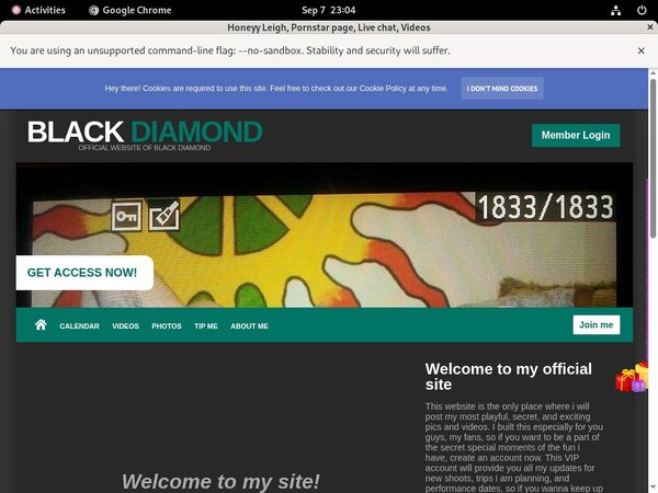 [Image: Passwords-Honeyy-Leigh-Free.jpg]