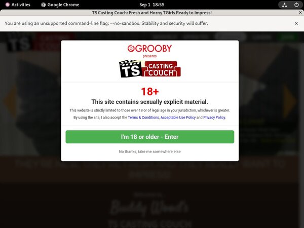 Porn Pass TS Casting Couch Porn Pass TS Casting Couch