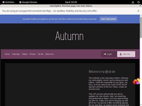 Raincitybbw.modelcentro.com Site Rip Url