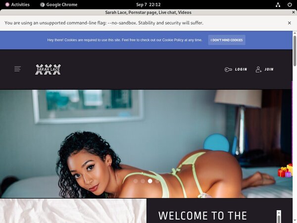 SarahLace Free Download