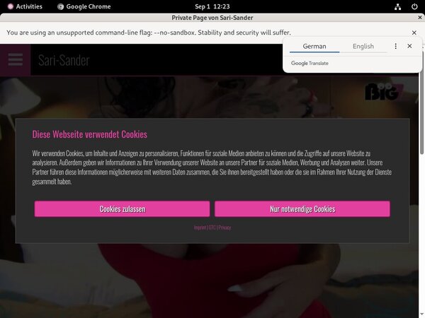 Sari-sander.com New Accounts