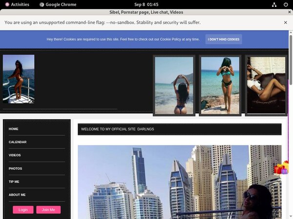 Sibel Epoch Page
