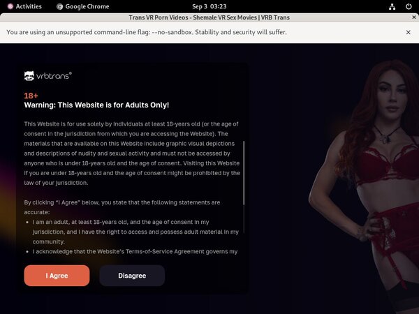 Vrbtrans.com Trial For Free