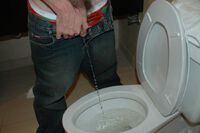 Working Boys-pissing.com Password s3