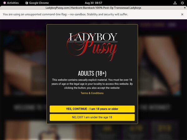 Ladyboy Pussy Passes