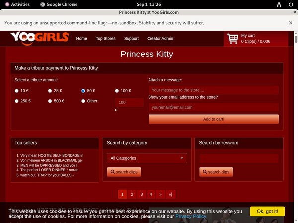 Princess Kitty Premium Accounts Free